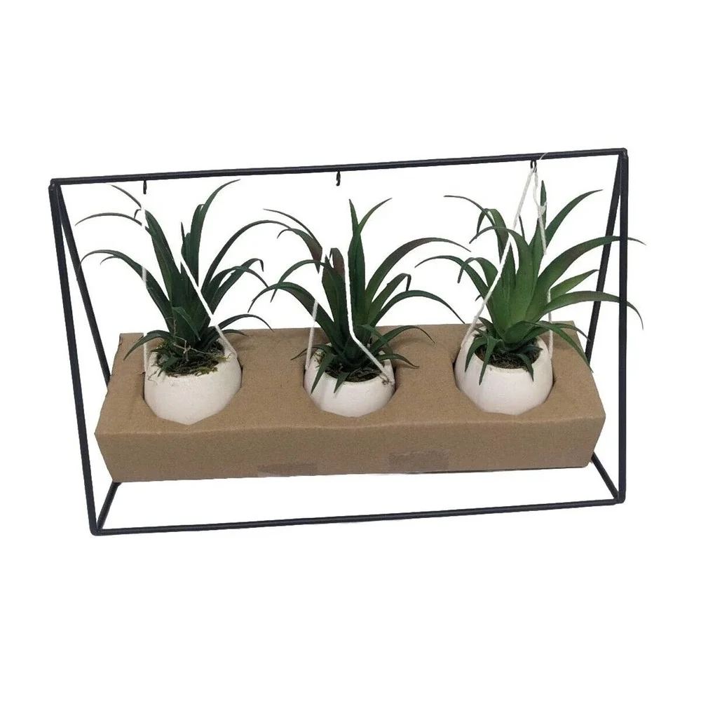 Set 3 pcs Hanging Cactus Cacti in Planters Indoor Rope Hanger Flower Pot Basket